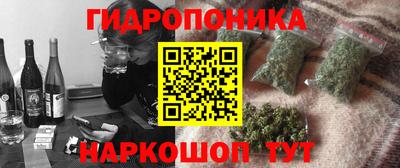 стафф Мариинск