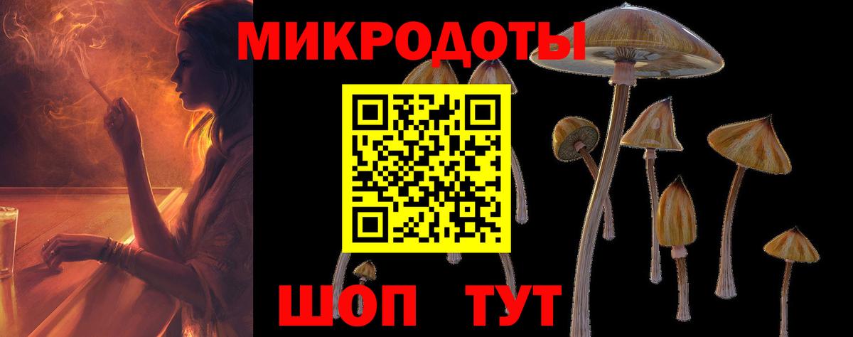 магазин    Вход с VPN  Усть-Джегута  Псилоцибиновые грибы Magic Shrooms  Псилоцибиновые грибы Psilocybe 